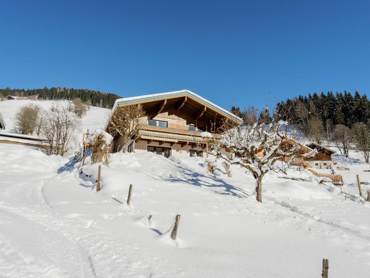 Apartment Near The Ski Area Зальбах-Хинтерглемм Экстерьер фото